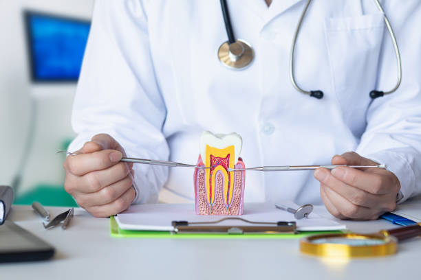 Best Emergency Dentist for Lost Fillings or Crowns in Riverse, ID